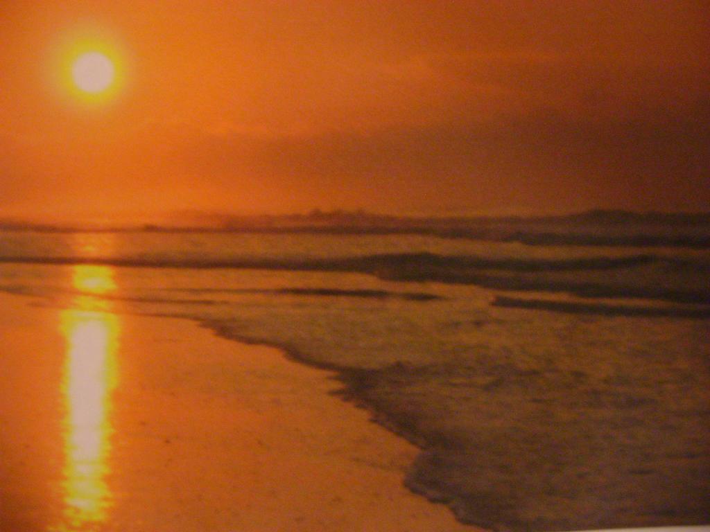 Catlins Newhaven Holiday Park Owaka Rum bild
