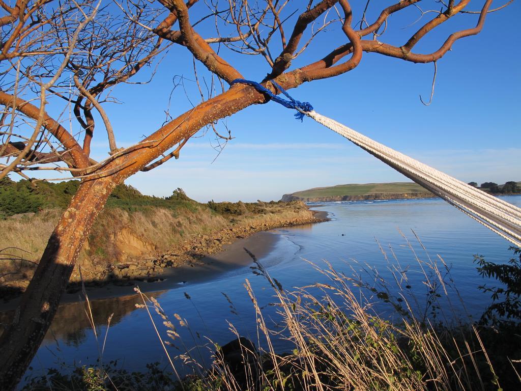Catlins Newhaven Holiday Park Owaka Rum bild