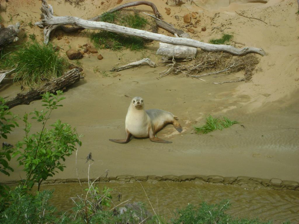 Catlins Newhaven Holiday Park Owaka Exteriör bild