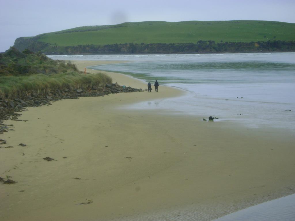 Catlins Newhaven Holiday Park Owaka Exteriör bild