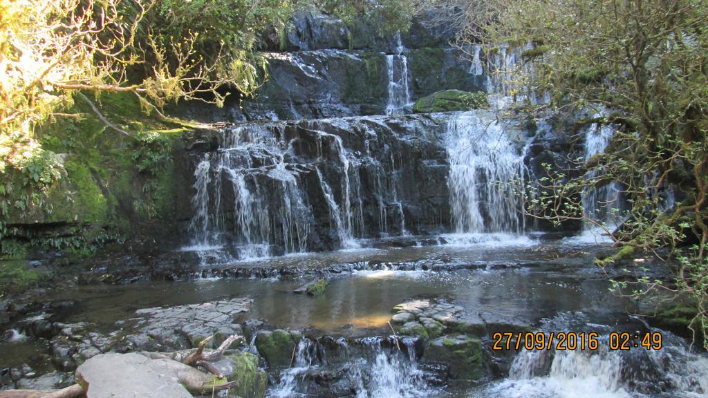 Catlins Newhaven Holiday Park Owaka Exteriör bild
