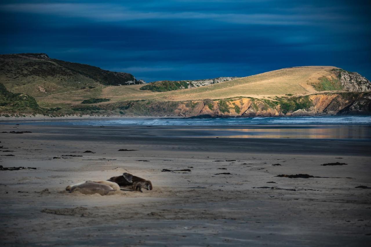 Catlins Newhaven Holiday Park Owaka Exteriör bild